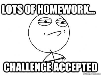 lots of homework