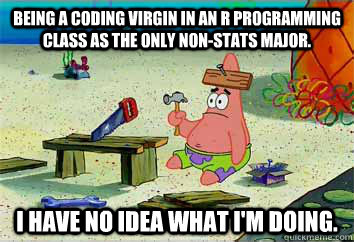 Being a coding virgin in an R programming class as the only non-Stats major.   I have no idea what I'm doing. - Being a coding virgin in an R programming class as the only non-Stats major.   I have no idea what I'm doing.  I have no idea what Im doing - Patrick Star