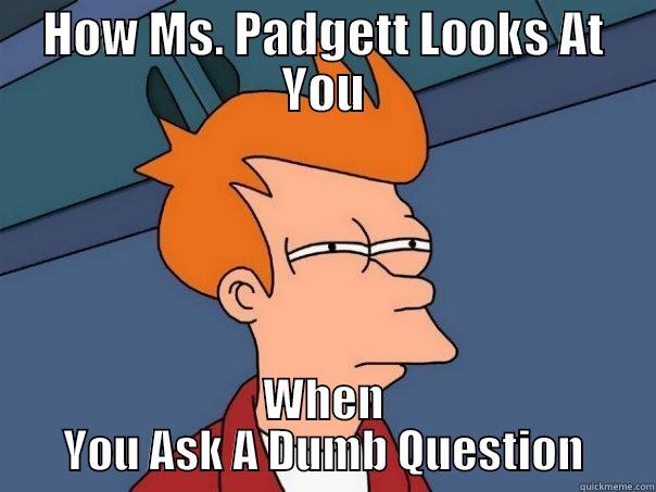 HOW MS. PADGETT LOOKS AT YOU WHEN YOU ASK A DUMB QUESTION Futurama Fry