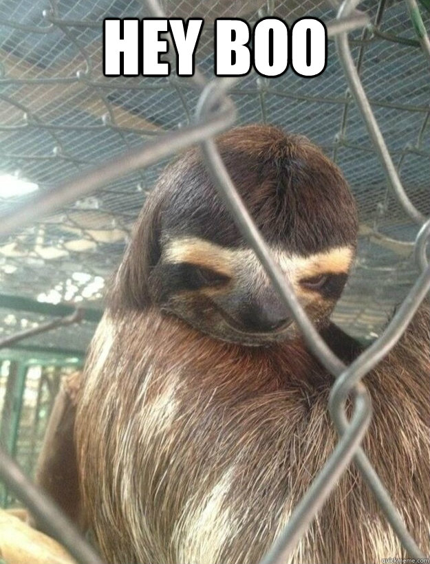 Hey Boo   Creepy Sloth
