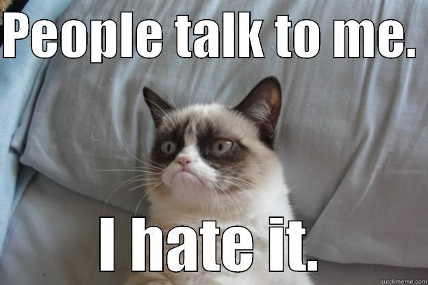 leave me alone - PEOPLE TALK TO ME.  I HATE IT. Grumpy Cat