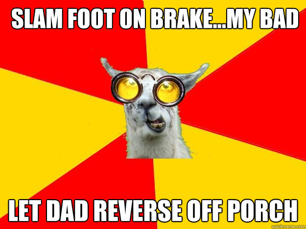  slam foot on brake...my bad let dad reverse off porch  Learner Driver Llama