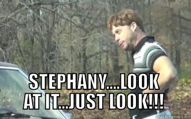 STEPHANY....LOOK AT IT...JUST LOOK!!! Misc