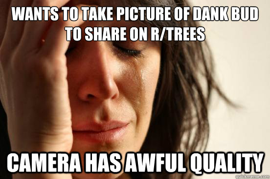 Wants to take picture of dank bud to share on r/trees camera has awful quality  First World Problems