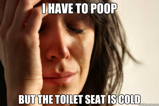 I have to poop but the toilet seat is cold - I have to poop but the toilet seat is cold  First World Problems