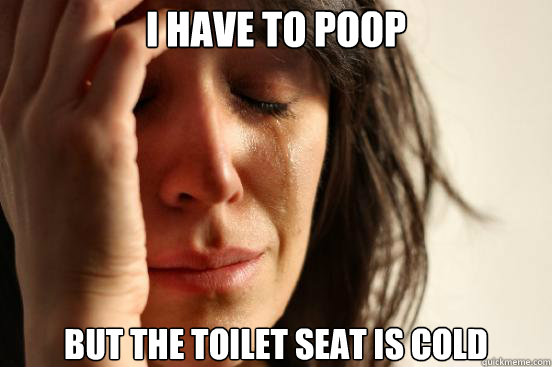 I have to poop but the toilet seat is cold  First World Problems