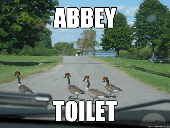 Abbey Toilet  Scumbag Geese