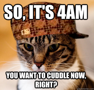 So, it's 4am You want to cuddle now, right?  Scumbag Cat