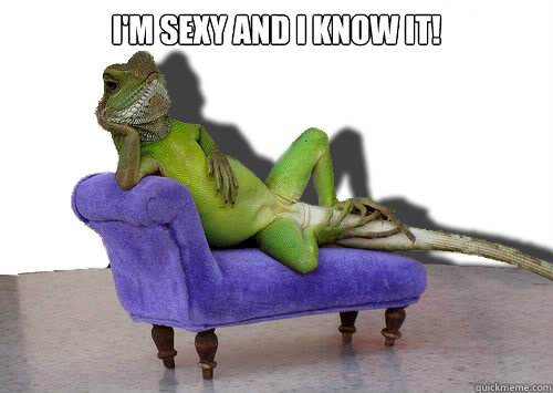 i'm sexy and i know it!  