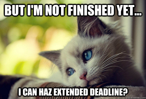 But I'm not finished yet... I can haz extended deadline?  First World Problems Cat