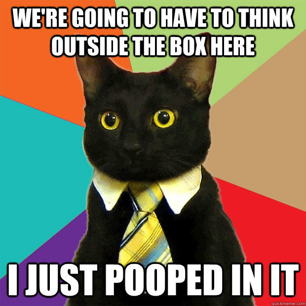 We're going to have to think outside the box here I just pooped in it - We're going to have to think outside the box here I just pooped in it  Business Cat