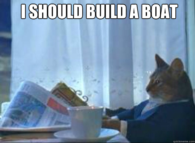 I should build a boat   I should buy a boat cat