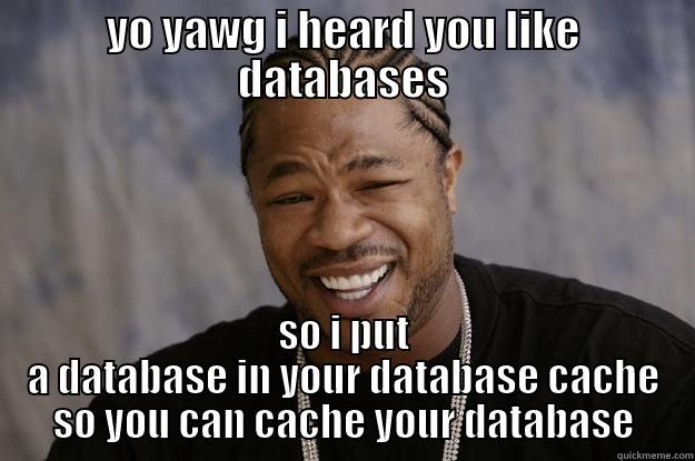 database cache database - YO YAWG I HEARD YOU LIKE DATABASES SO I PUT A DATABASE IN YOUR DATABASE CACHE SO YOU CAN CACHE YOUR DATABASE Xzibit meme