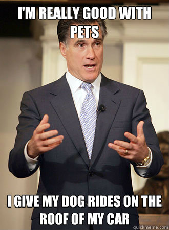 I'm really good with pets I give my dog rides on the roof of my car  Relatable Romney