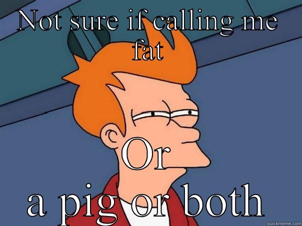 NOT SURE IF CALLING ME FAT OR A PIG OR BOTH Futurama Fry