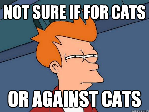 not sure if for cats or against cats  Futurama Fry