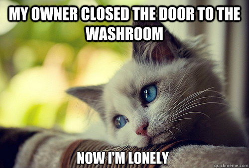 my owner closed the door to the washroom now i'm lonely  First World Cat Problems