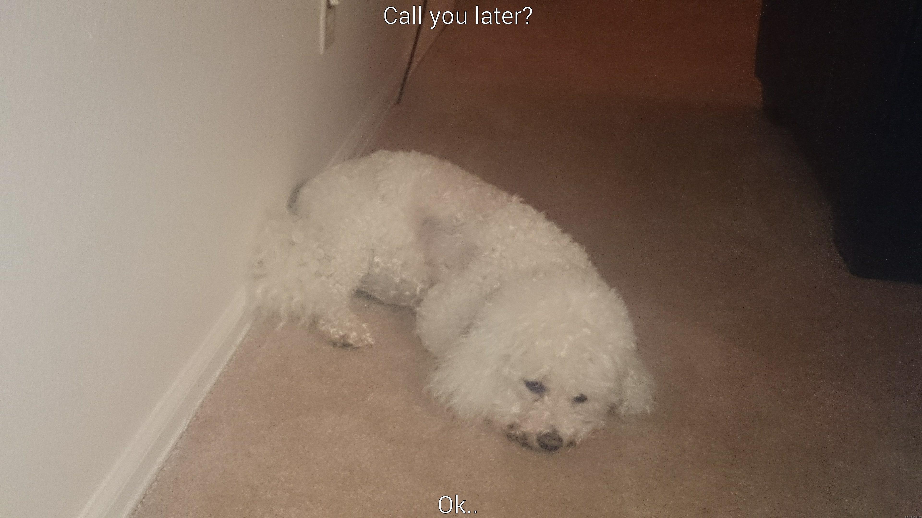 CALL YOU LATER? OK.. Misc