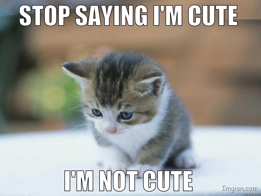 sad kitten - STOP SAYING I'M CUTE I'M NOT CUTE Misc