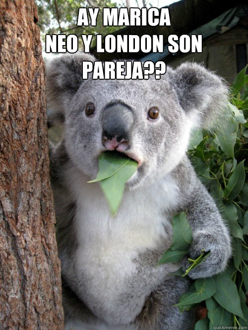 ay marica
neo y london son pareja?? - ay marica
neo y london son pareja??  astonished koala