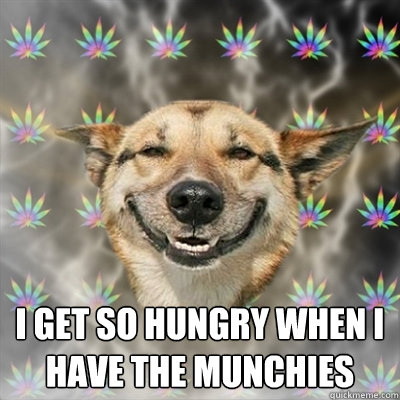 I get so hungry when i have the munchies  Stoner Dog