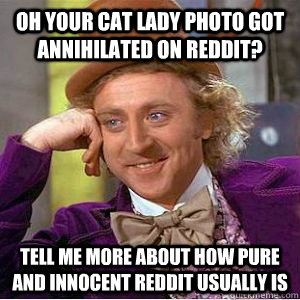 oh your cat lady photo got annihilated on reddit?  tell me more about how pure and innocent reddit usually is  willy wonka