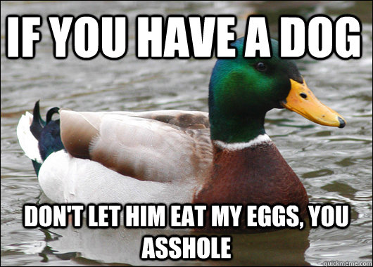 If you have a dog Don't let him eat my eggs, you Asshole  Actual Advice Mallard