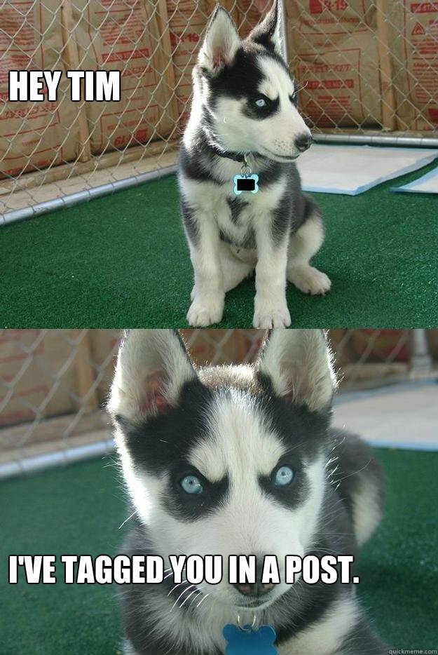 hey tim I've tagged you in a post.  Insanity puppy