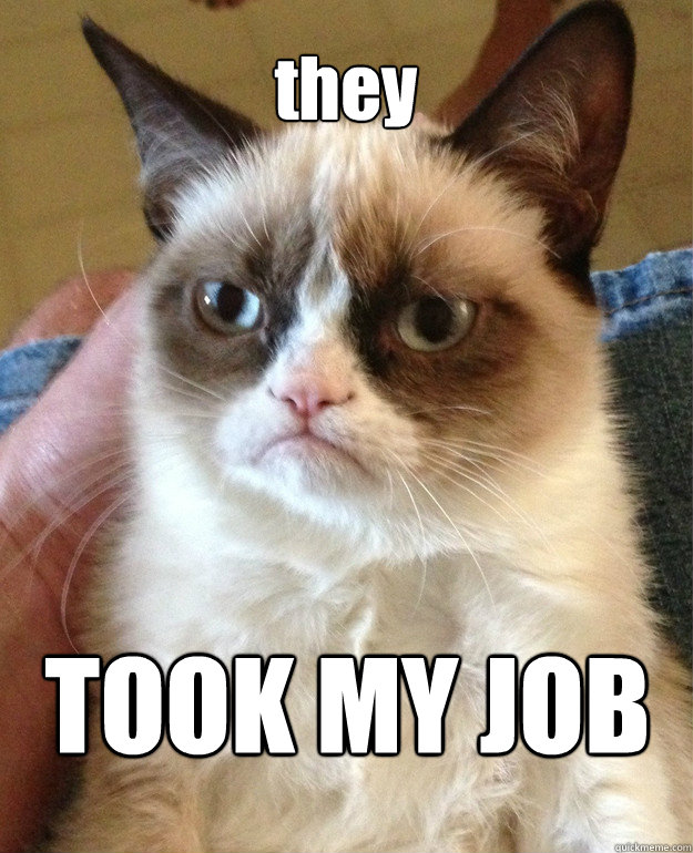 they TOOK MY JOB - they TOOK MY JOB  cat had fun once