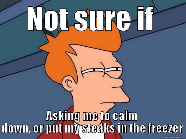 NOT SURE IF ASKING ME TO CALM DOWN, OR PUT MY STEAKS IN THE FREEZER Futurama Fry