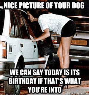 Nice picture of your dog We can say today is its birthday if that's what you're into  Karma Whore