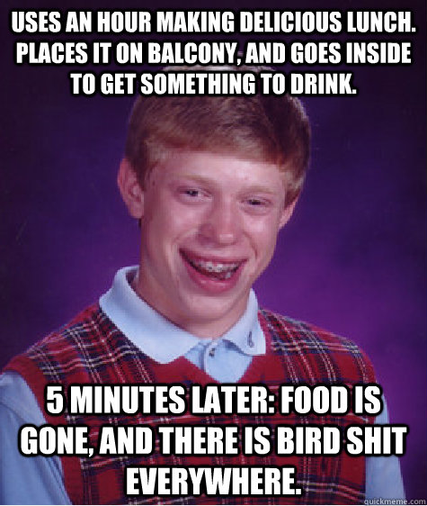 Uses an hour making delicious lunch. Places it on balcony, and goes inside to get something to drink. 5 minutes later: Food is gone, and there is bird shit everywhere.  Bad Luck Brian