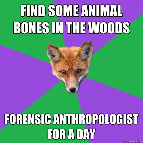 find some animal bones in the woods forensic anthropologist for a day  Anthropology Major Fox