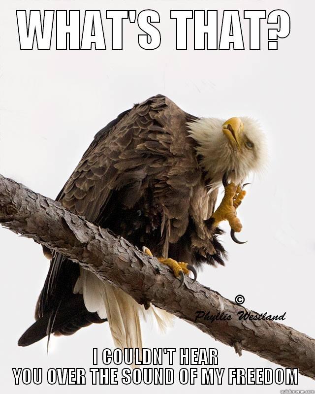 WHAT'S THAT? I COULDN'T HEAR YOU OVER THE SOUND OF MY FREEDOM Misc