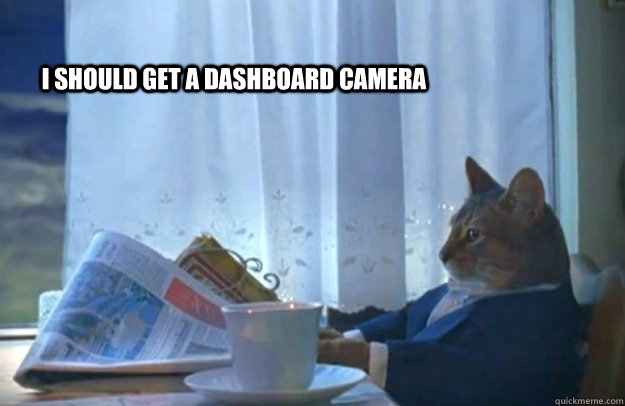 I should get a dashboard camera  Sophisticated Cat
