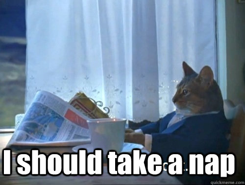  I should take a nap  Rich cat is rich