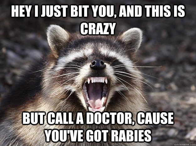 Hey I just bit you, and this is crazy but call a doctor, cause you've got rabies  Rabid Raccoon