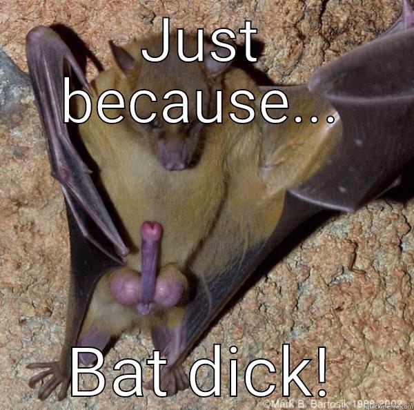 Horny bat - JUST BECAUSE... BAT DICK! Misc