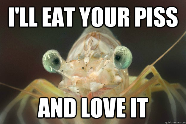 I'll eat your piss and love it - I'll eat your piss and love it  Misc