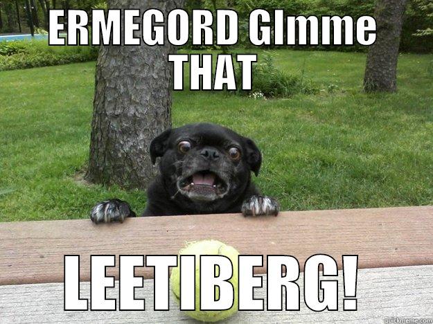 ERMAGEEERD! LEETIBERG - ERMEGORD GIMME THAT LEETIBERG! Berks Dog