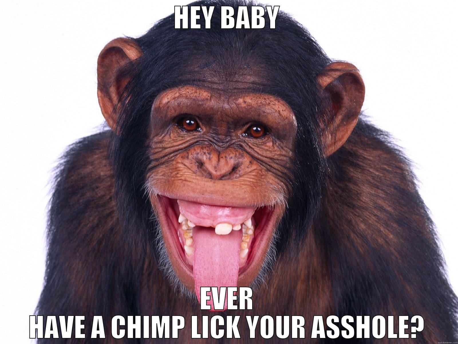 HEY BABY EVER HAVE A CHIMP LICK YOUR ASSHOLE? Misc
