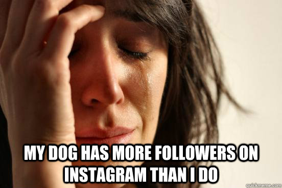  My dog has more followers on Instagram than I do -  My dog has more followers on Instagram than I do  First World Problems