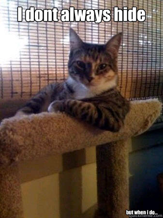 I dont always hide but when i do...  The Most Interesting Cat in the World