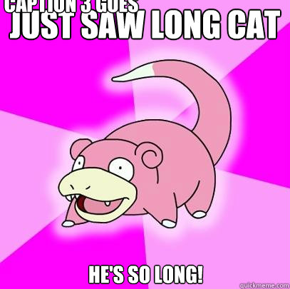 Just saw long cat
 he's so long! Caption 3 goes here  Slowpoke