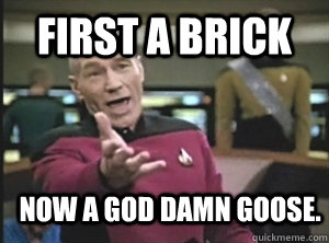 first a brick now a god damn goose.  Annoyed Picard