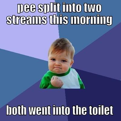 PEE SPLIT INTO TWO STREAMS THIS MORNING BOTH WENT INTO THE TOILET Success Kid