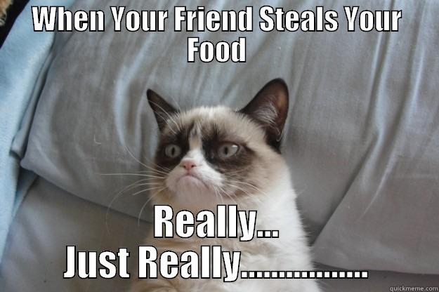 WHEN YOUR FRIEND STEALS YOUR FOOD REALLY... JUST REALLY................. Grumpy Cat