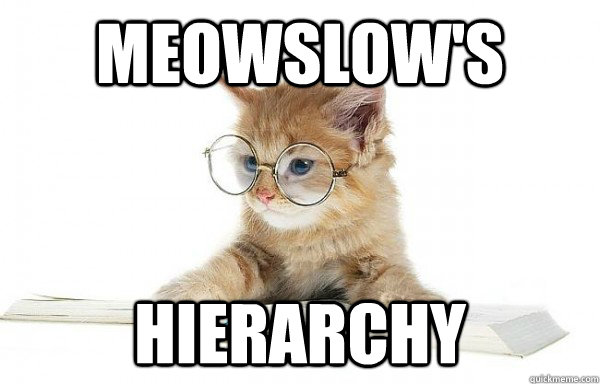Meowslow's Hierarchy  Cultural Studies Cat