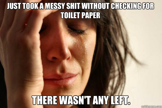 Just took a messy shit without checking for toilet paper There wasn't any left.  First World Problems