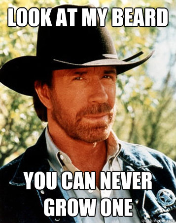 Look at my beard you can never grow one  Flirt Test Chuck Norris